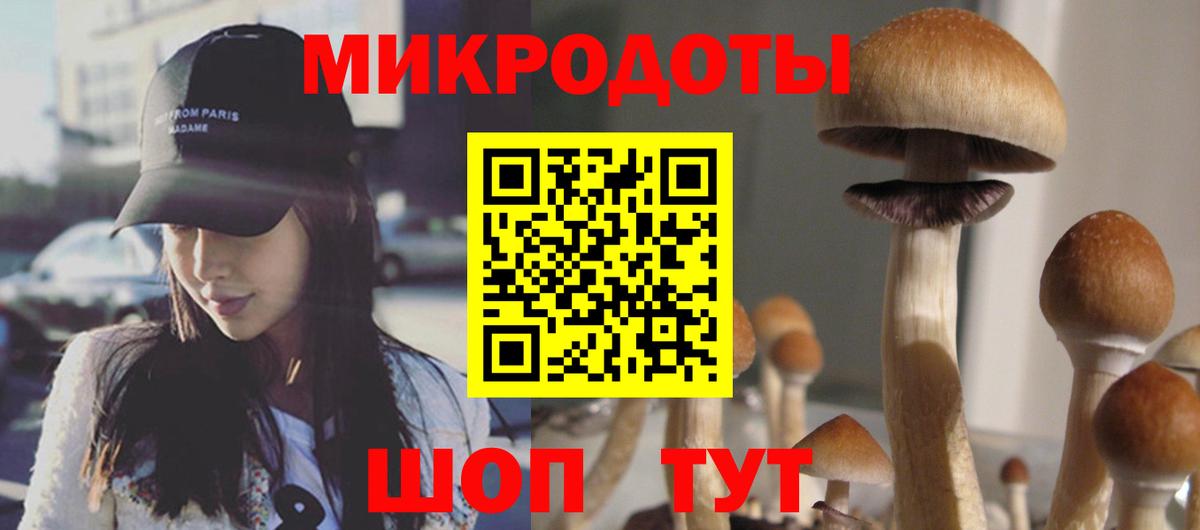 Галлюциногенные грибы MAGIC MUSHROOMS  Вход с VPN  Коломна 
